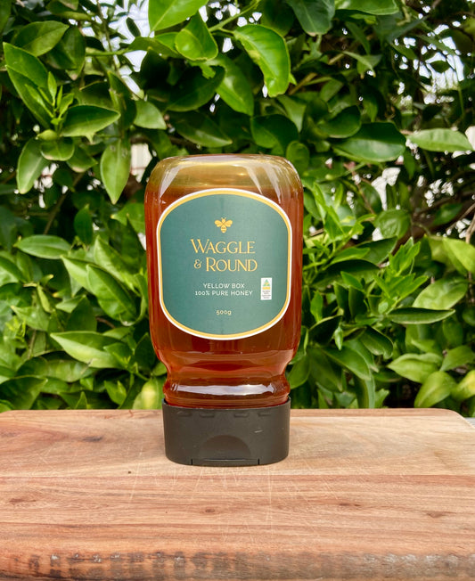 500g Squeeze Yellow Box Honey